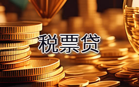 巢湖税票贷
